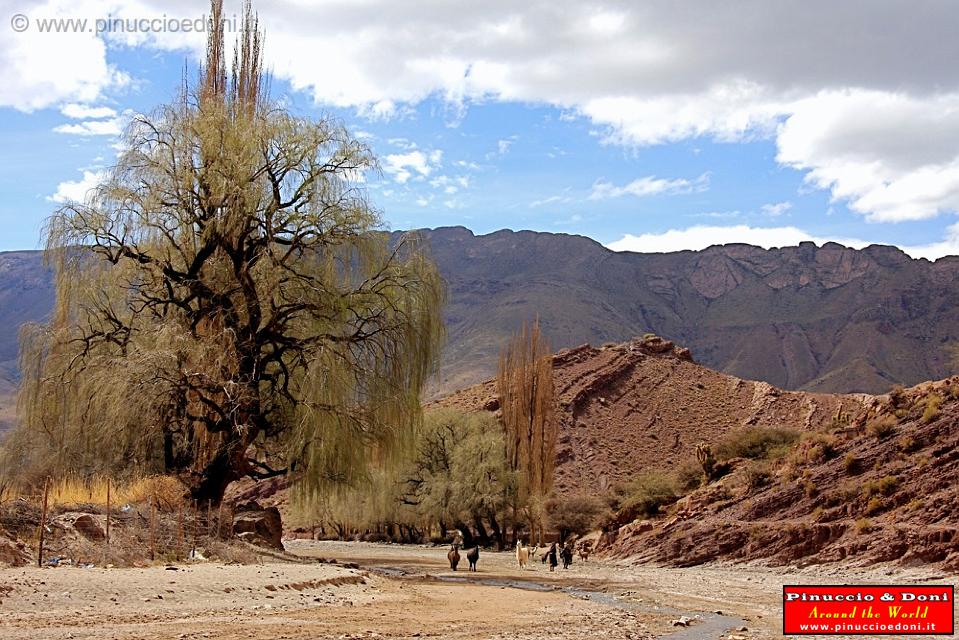 BOLIVIA 2 - Cordillera de Los Frailes - 05.jpg